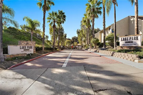 a outdoor space with lots of palm trees