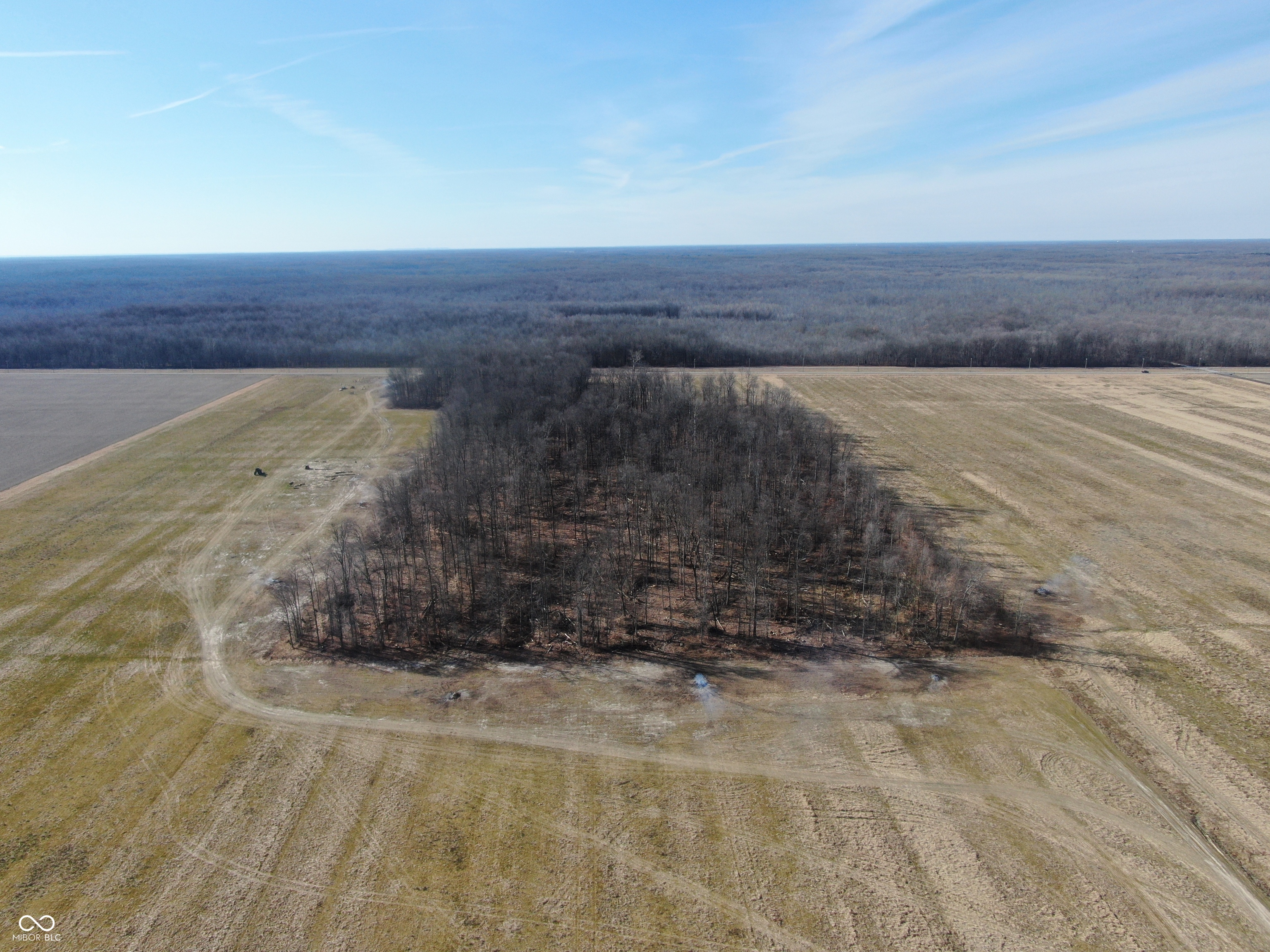 Tract 2-0 County Rd 600 South Versailles, IN 47042 - Photo 11 of 32 Gallery Image 11