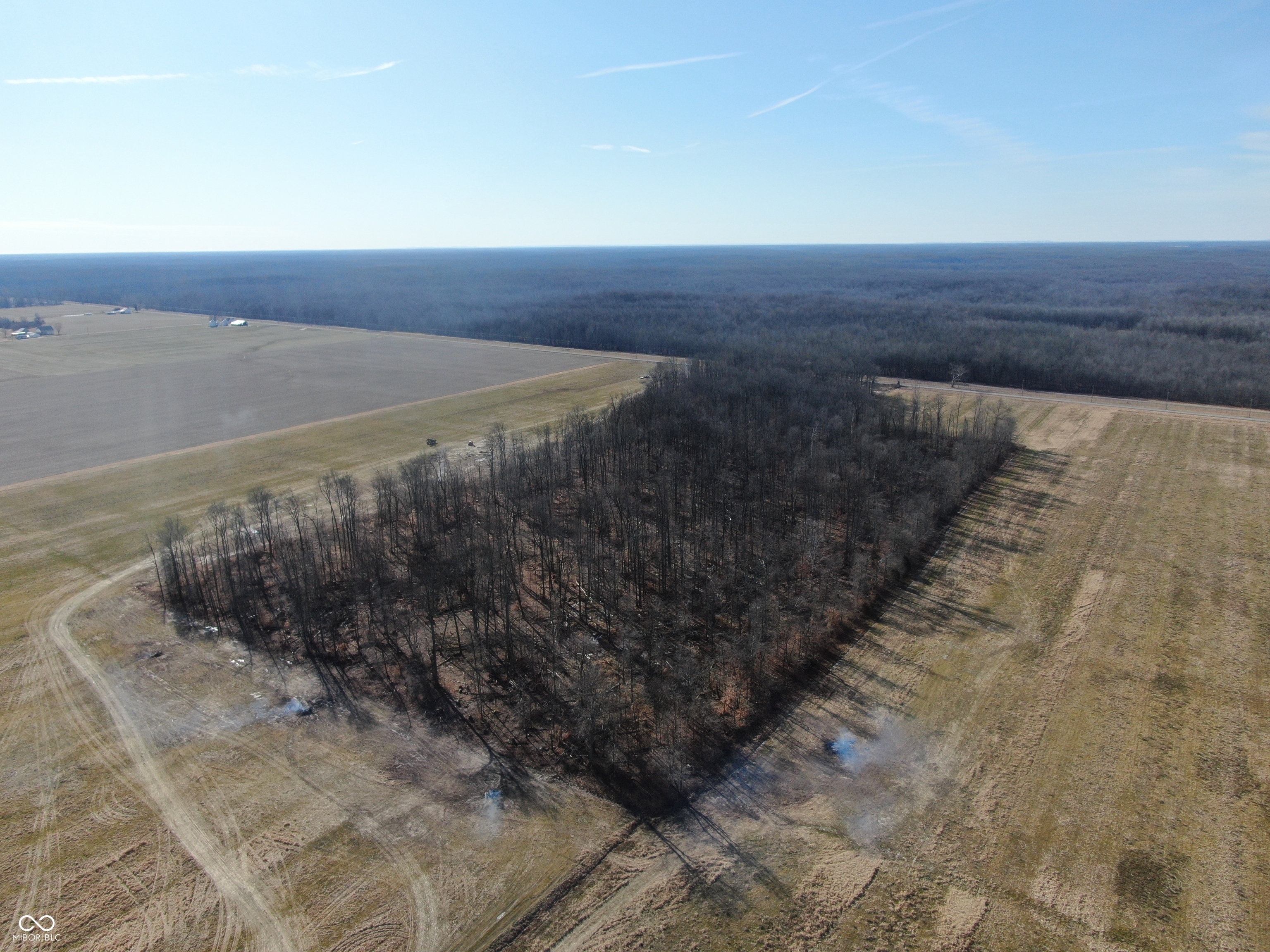 Tract 2-0 County Rd 600 South Versailles, IN 47042 - Photo 14 of 32 Gallery Image 14