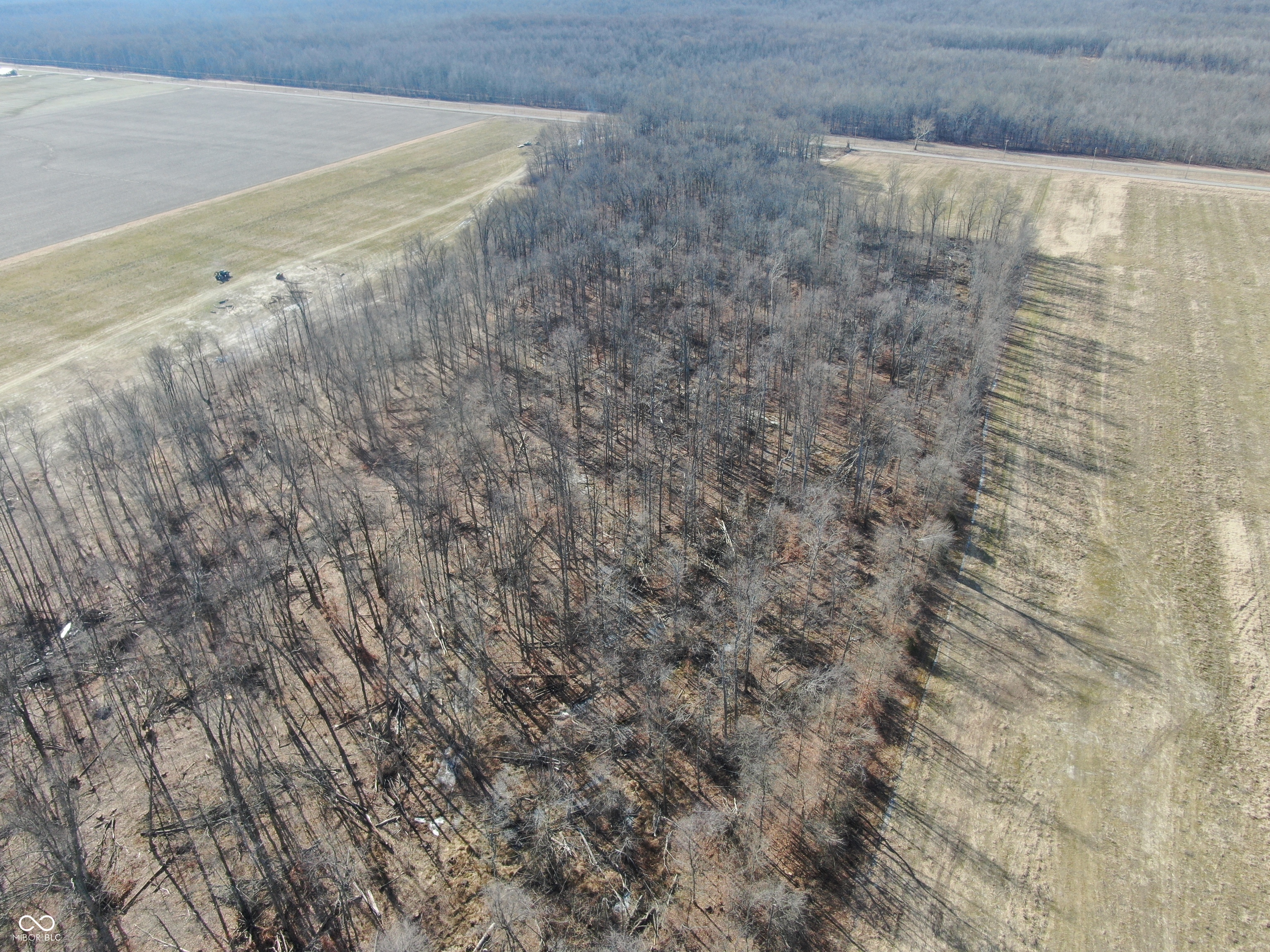 Tract 2-0 County Rd 600 South Versailles, IN 47042 - Photo 15 of 32 Gallery Image 15