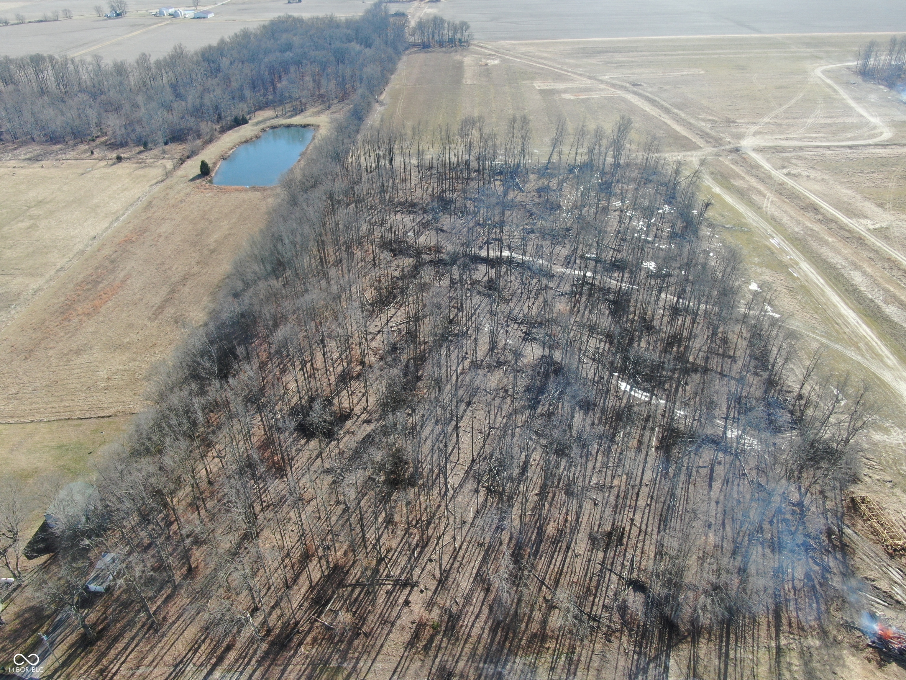 Tract 2-0 County Rd 600 South Versailles, IN 47042 - Photo 5 of 32 Gallery Image 5