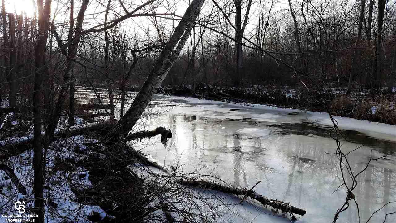 4691 Cribbins Road Avoca, MI 48006 - Photo 28 of 42 This is view 3 of the creek.