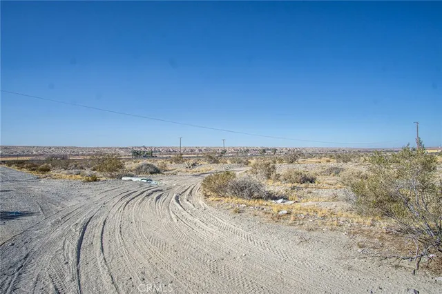 a view of a dry yard