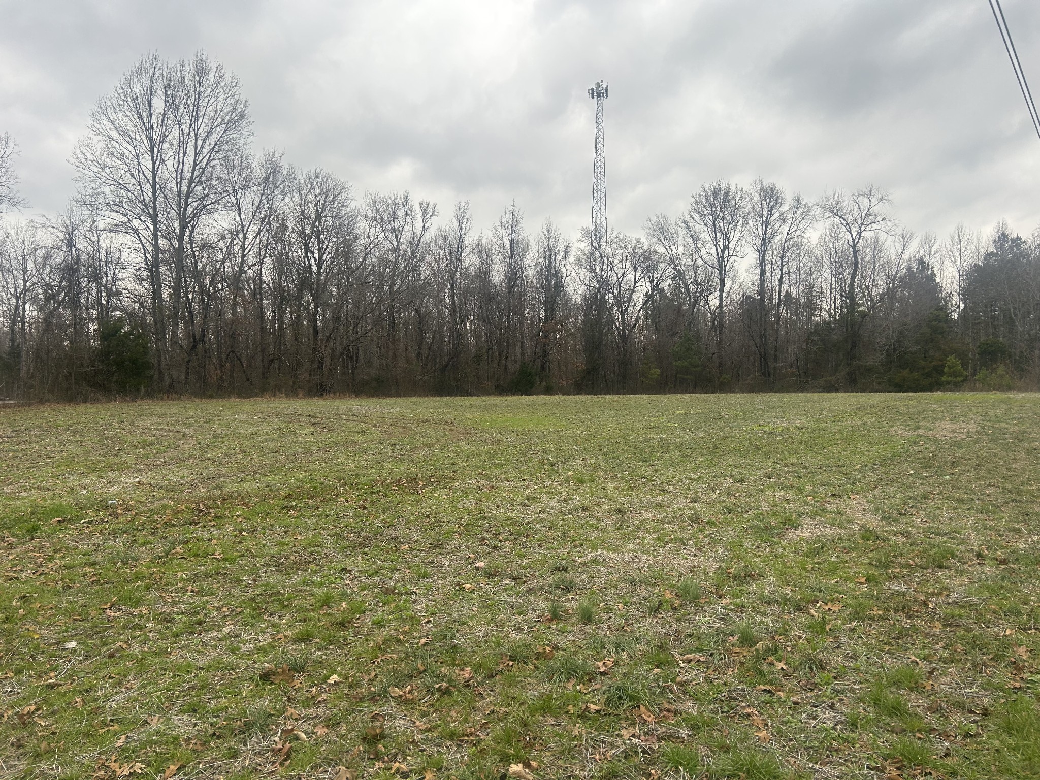 4927 Hillsboro Viola Road Manchester, TN 37355 - Photo 6 of 15
