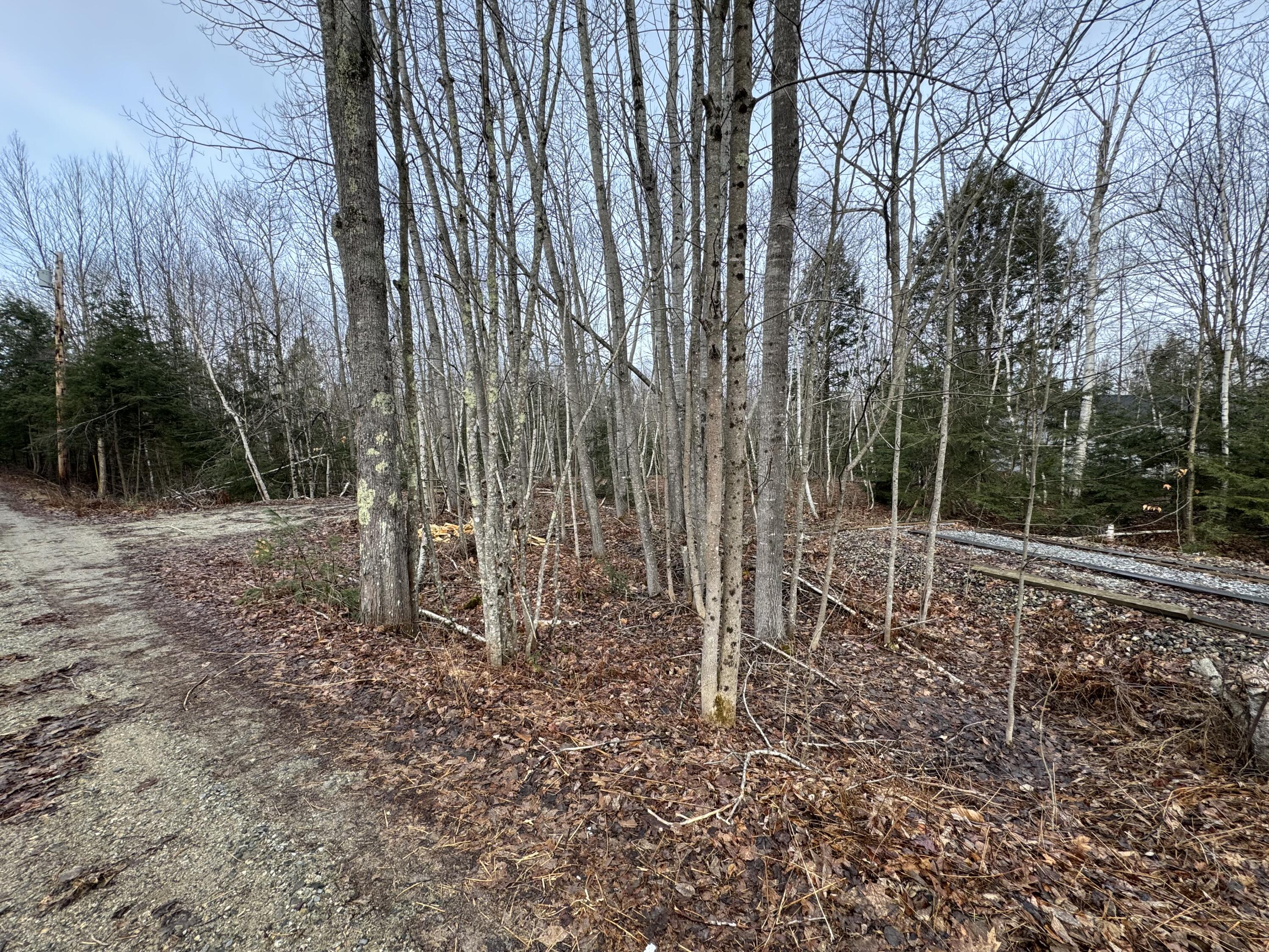 Lot 21 Johnson Road Greene, ME 04236 - Photo 9 of 18 IMG_4079