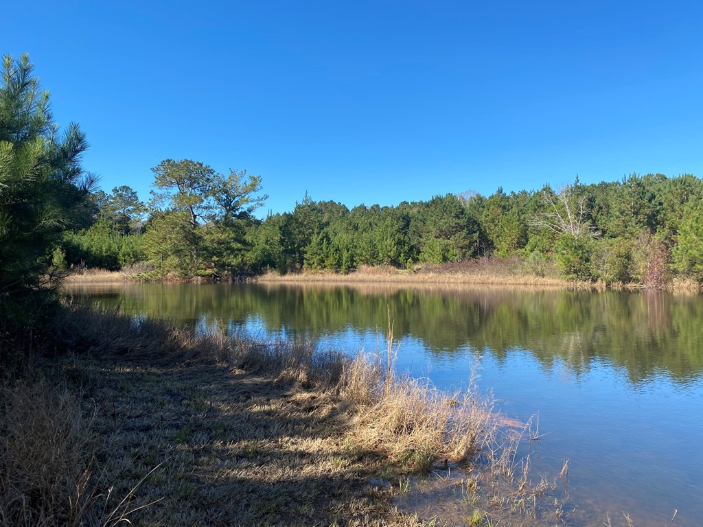 3919 Garnet Trail Southeast Ruth, MS 39662 - Photo 2 of 11 Photo 2