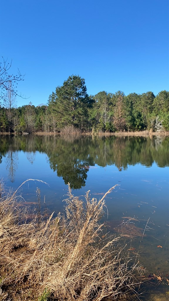 3919 Garnet Trail Southeast Ruth, MS 39662 - Photo 7 of 11 Photo 7
