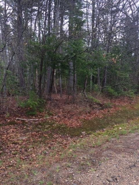 0 Willie Hill Road Wells, ME 04090 - Photo 1 of 1 Photo