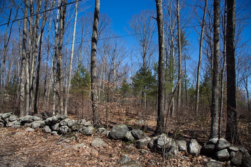 Lot 7 Queen Lake Road Templeton, MA 01468 - Photo 1 of 5 Gallery Image 1