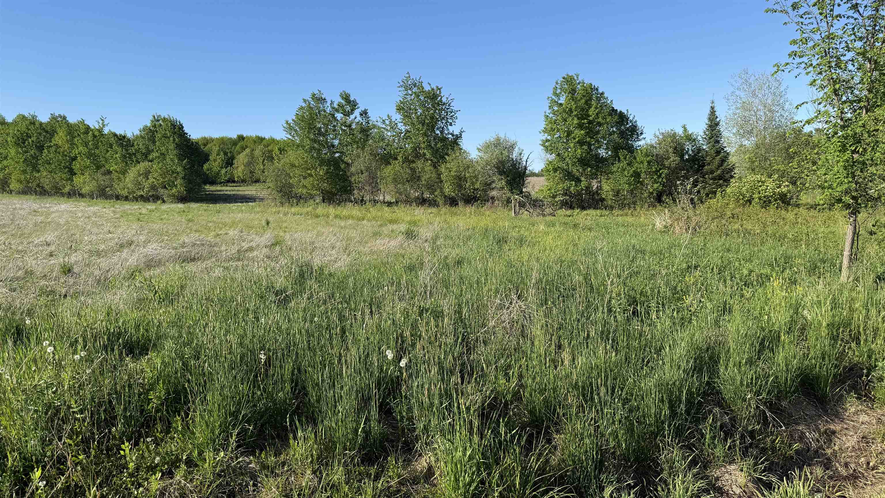Lot 3 Eau Claire River Road Ringle, WI 54471 - Photo 16 of 28