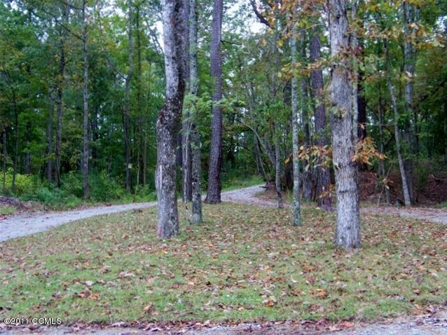 305 Joan's Ridge Stella, NC 28582 - Photo 2 of 7 Community Area