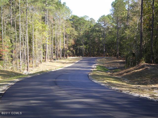 305 Joan's Ridge Stella, NC 28582 - Photo 3 of 7 Coastal Beautiful Subdivision