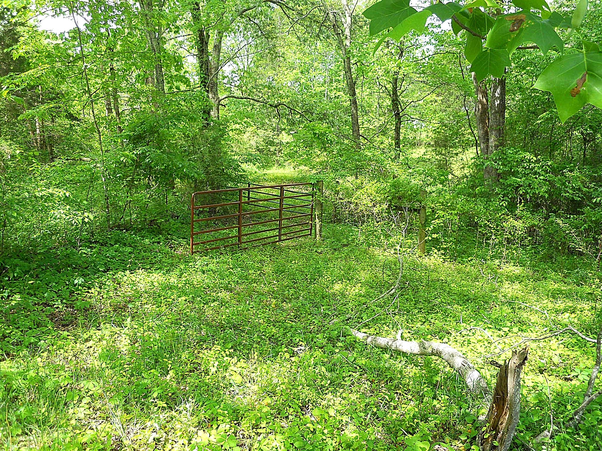 11304 Missionary Ridge Road Bon Aqua, TN 37025 - Photo 21 of 24
