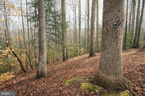 $355,000 | 23980 McIntosh Road, Hollywood, MD 20636