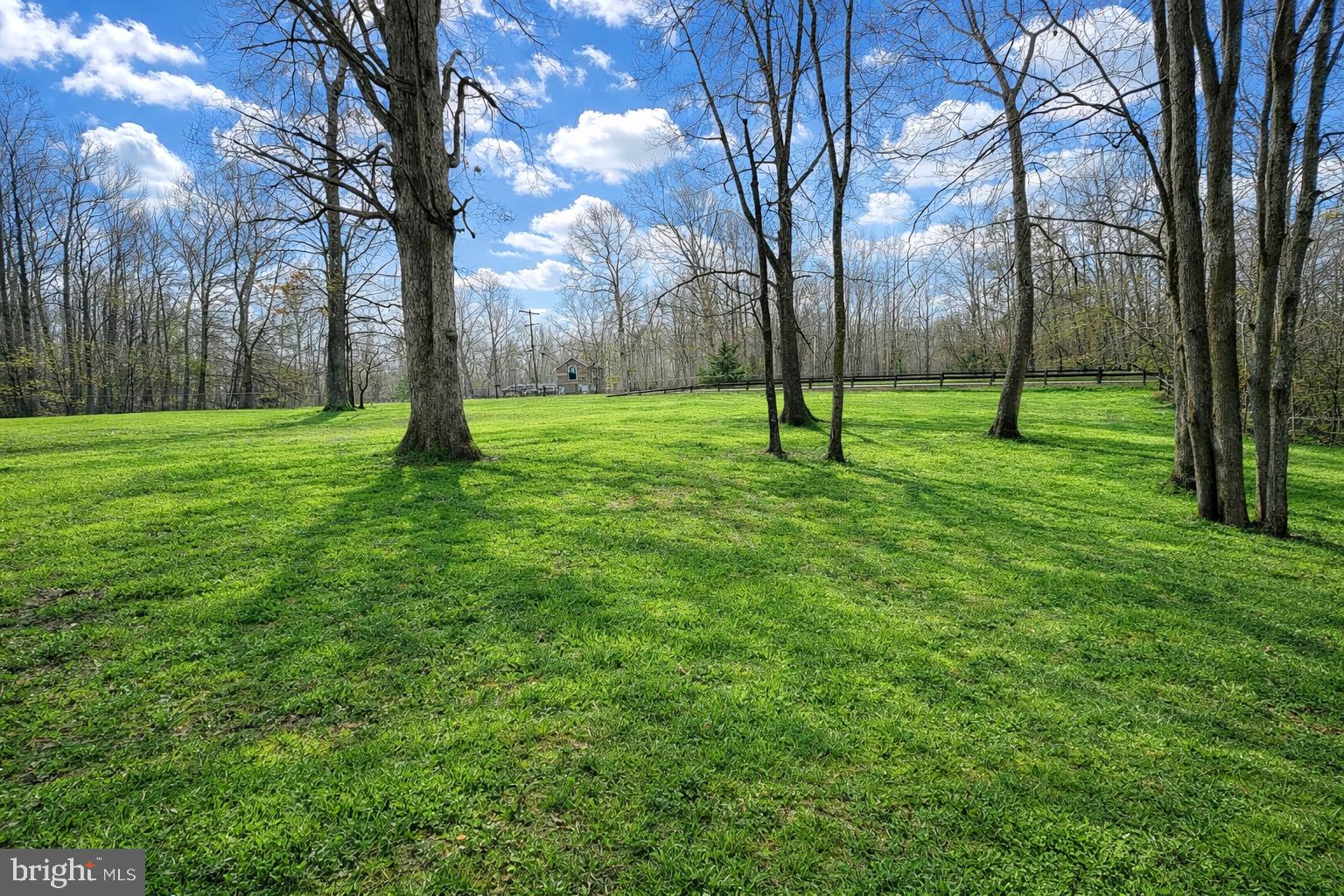 23980 McIntosh Road Hollywood, MD 20636 - Photo 4 of 8 Front yard *Photos enhanced*