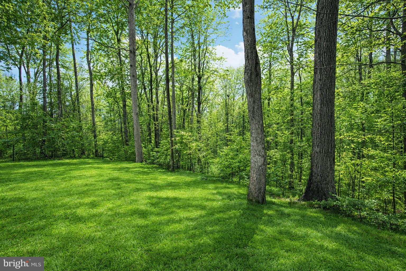 23980 McIntosh Road Hollywood, MD 20636 - Photo 7 of 8 Yard *Photos enhanced*