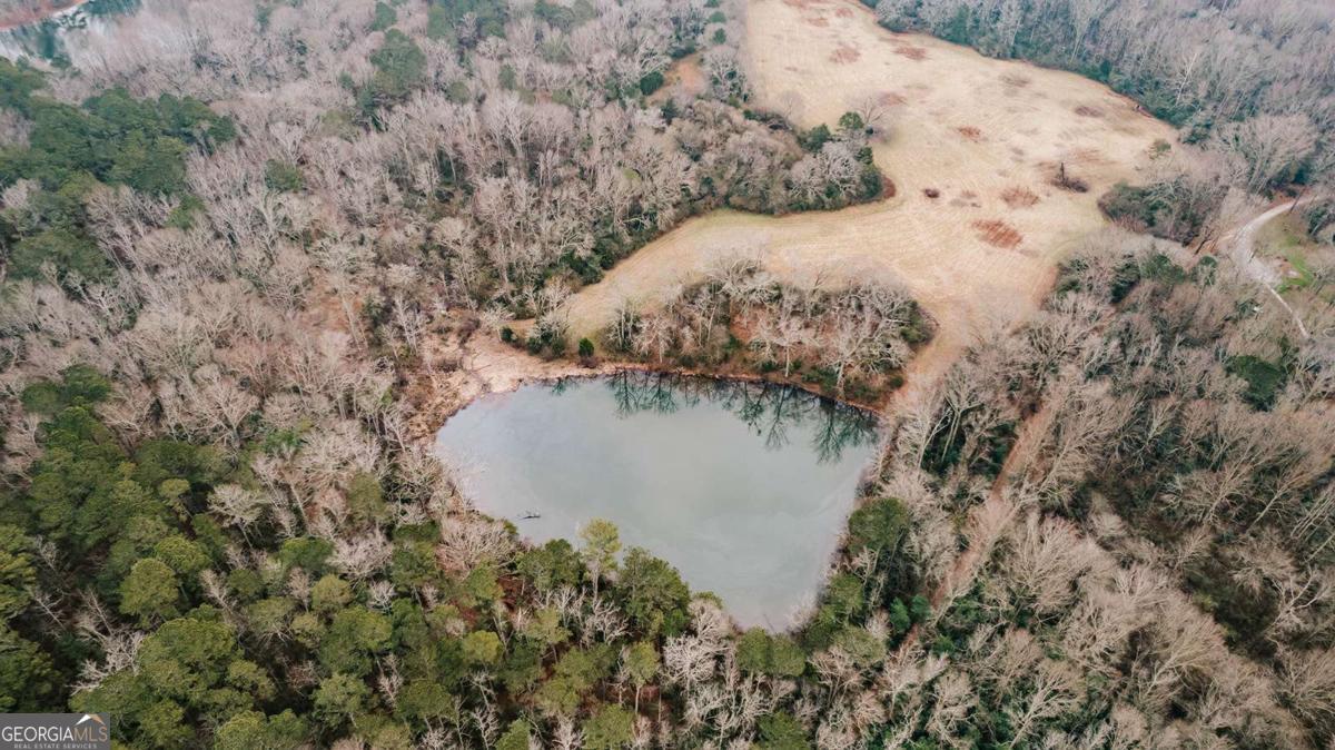 a view of a lake in between two of trees