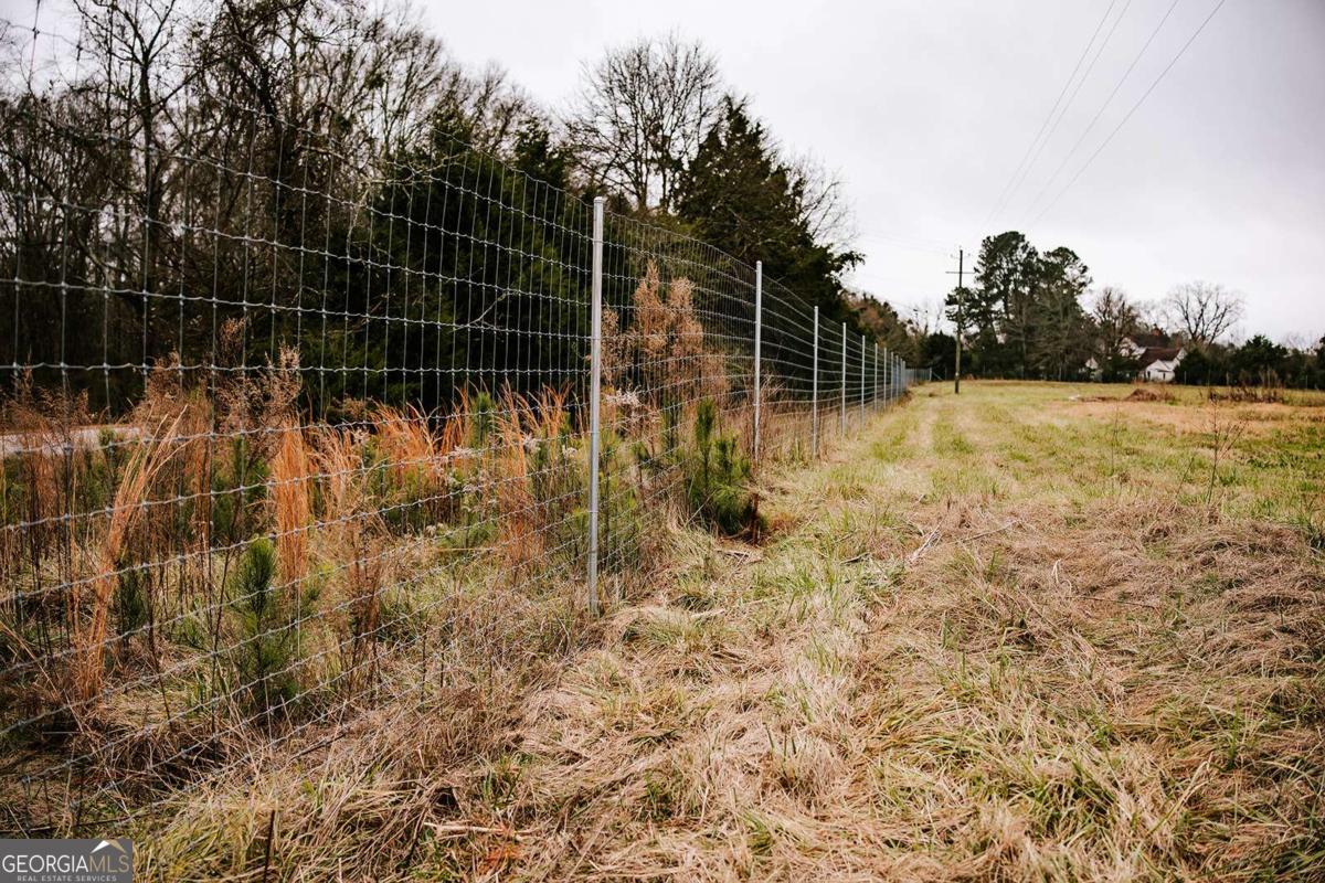 0 Yancey Road Arnoldsville, GA 30619 - Photo 5 of 16 a view of a yard
