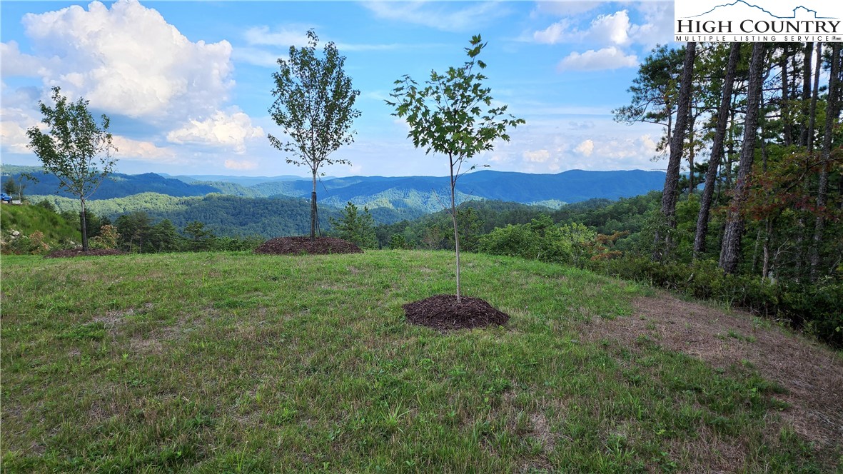 Lot 106 Nightshade Road Boone, NC 28607 - Photo 1 of 16 Gallery Image 1