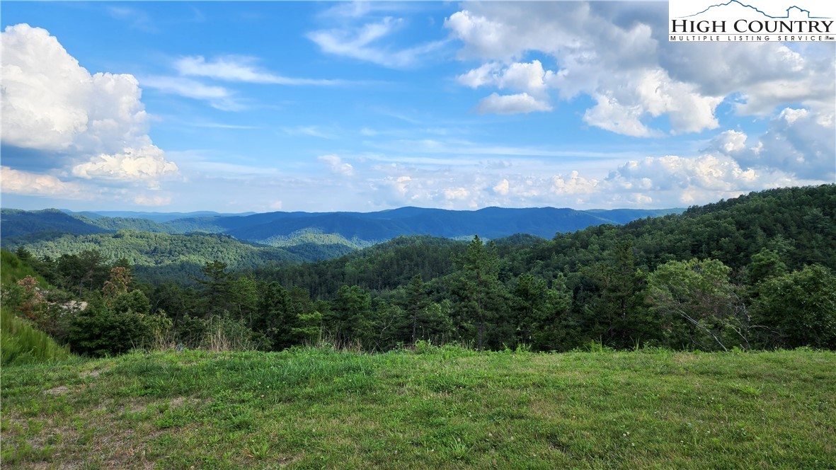 Lot 106 Nightshade Road Boone, NC 28607 - Photo 11 of 16 Gallery Image 11