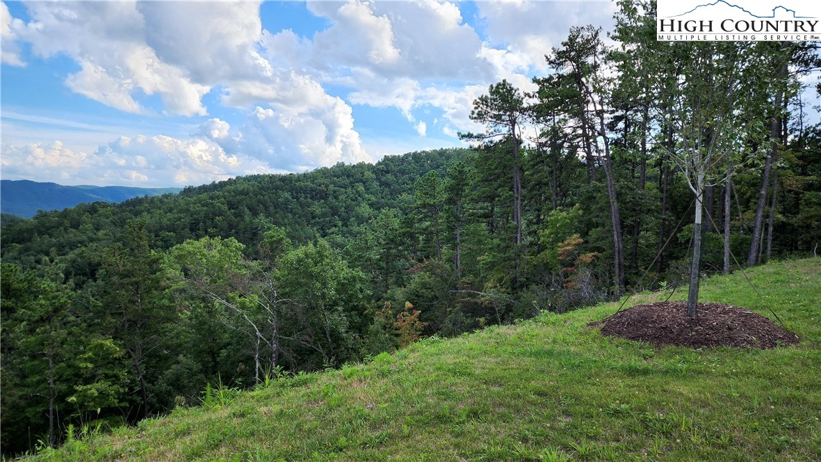 Lot 106 Nightshade Road Boone, NC 28607 - Photo 12 of 16 Gallery Image 12