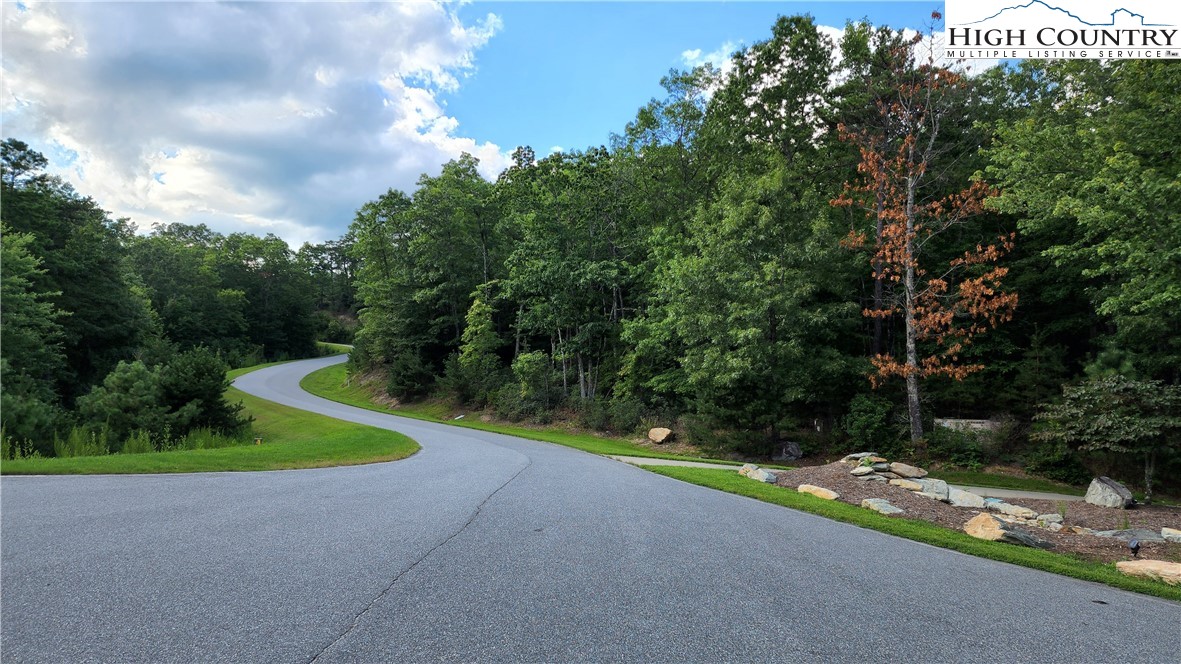 Lot 106 Nightshade Road Boone, NC 28607 - Photo 14 of 16 Gallery Image 14