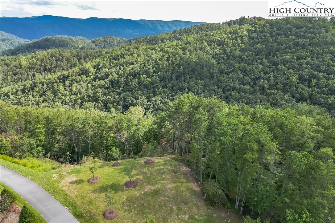 Lot 106 Nightshade Road Boone, NC 28607 - Photo 3 of 16 Gallery Image 3