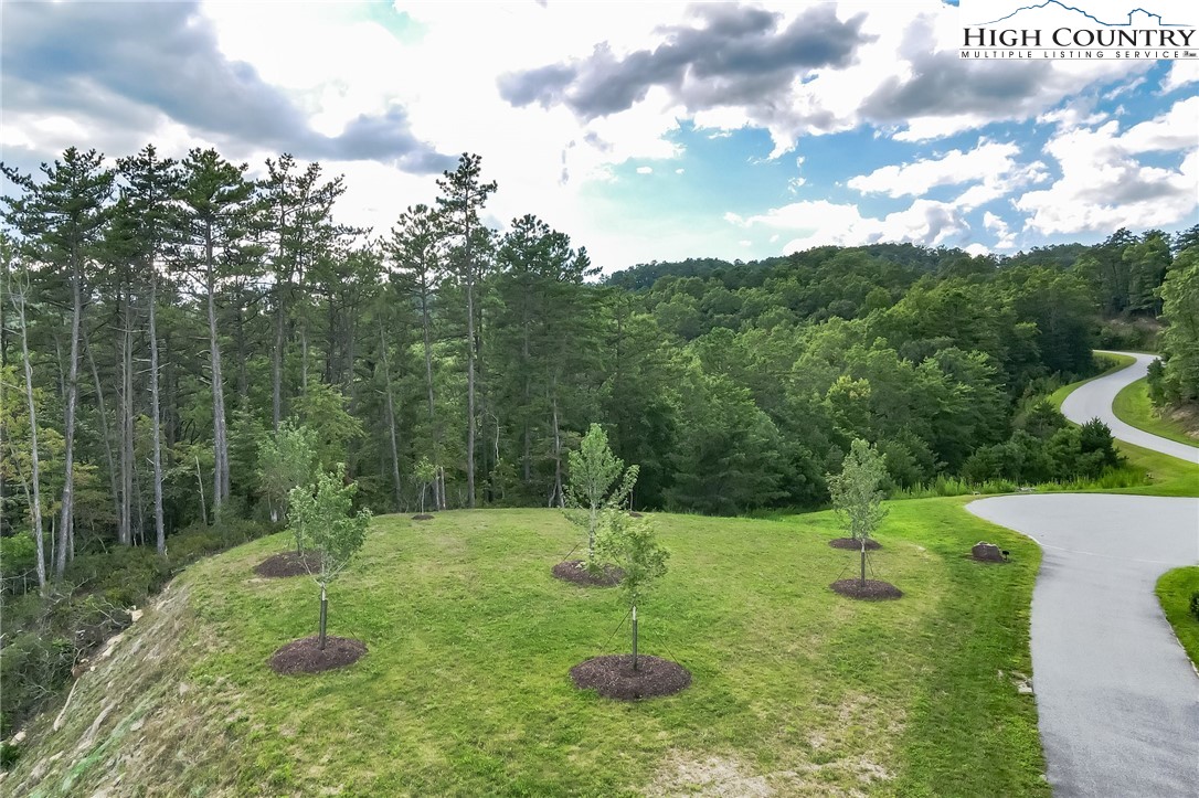Lot 106 Nightshade Road Boone, NC 28607 - Photo 5 of 16 Gallery Image 5