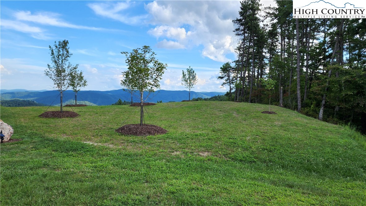 Lot 106 Nightshade Road Boone, NC 28607 - Photo 10 of 16 Gallery Image 10