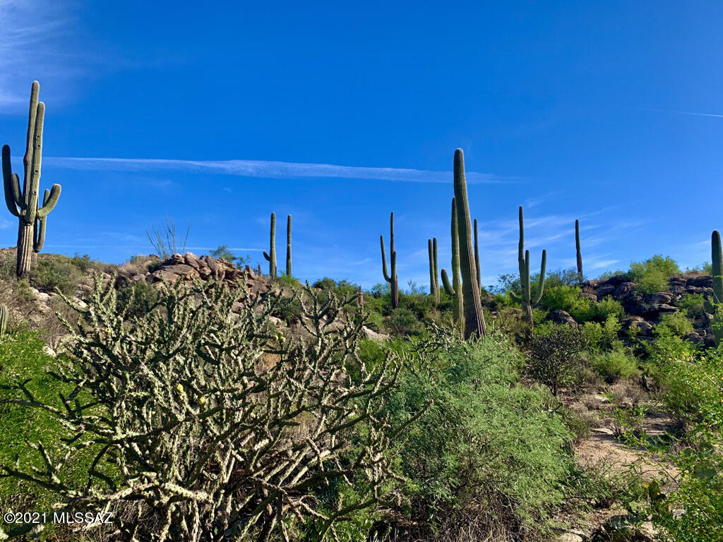 North Sacred Canyon Road Marana, AZ 85658 - Photo 15 of 16