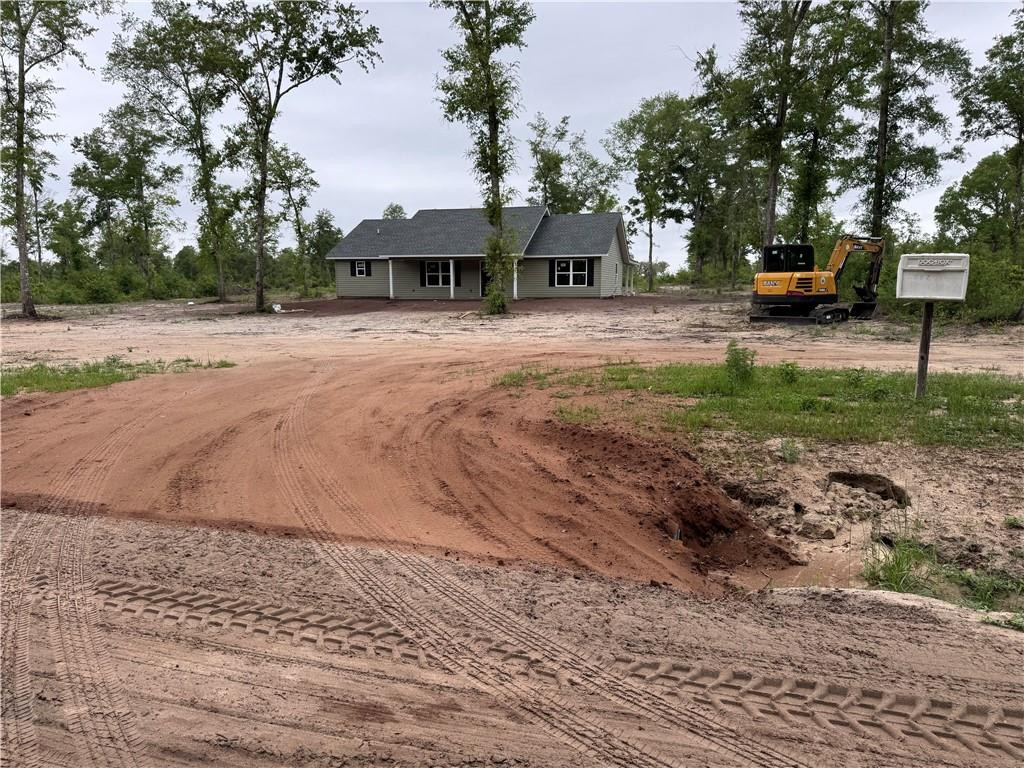 387 Birchwood Road Nahunta, GA 31553 - Photo 9 of 10 3+ Acres