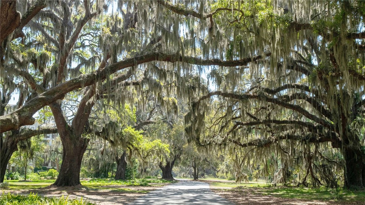 620 Demere Way St. Simons Island, GA 31522 - Photo 26 of 29