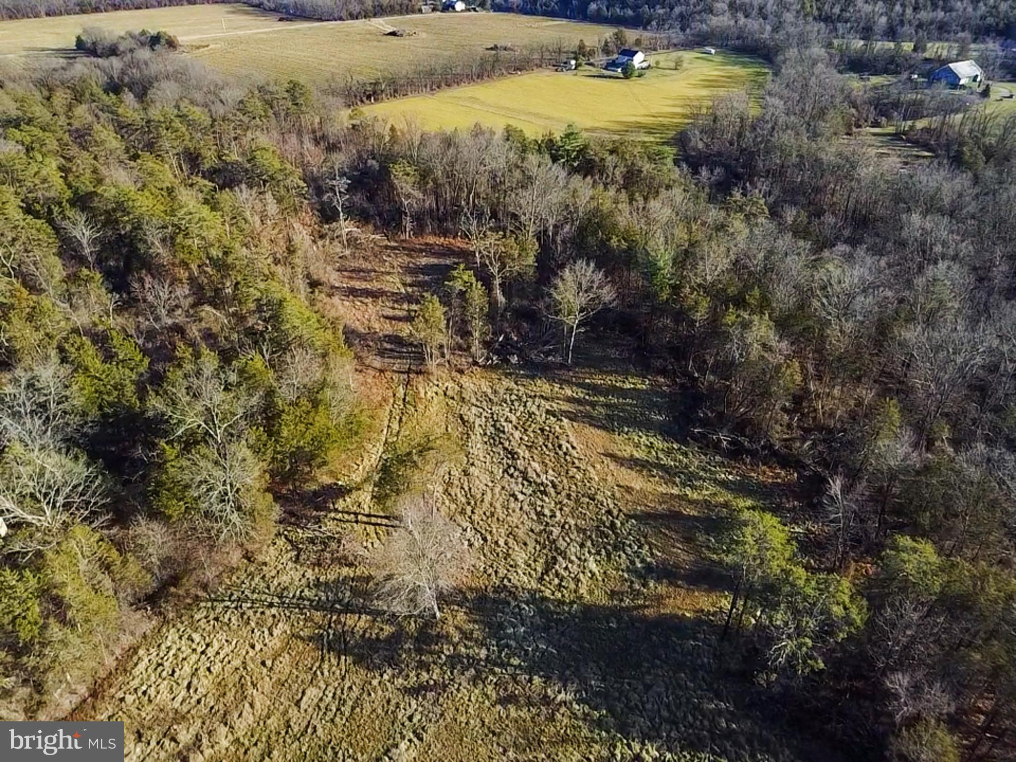 245 Bumble Bee Hollow Road Wellsville, PA 17365 - Photo 19 of 25 a view of a yard with an outdoor space