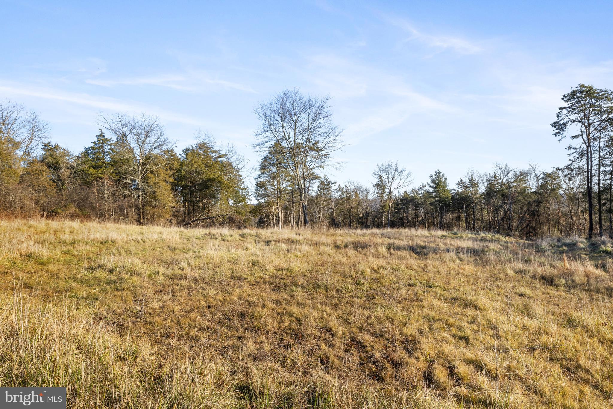 245 Bumble Bee Hollow Road Wellsville, PA 17365 - Photo 22 of 25 a view of a yard