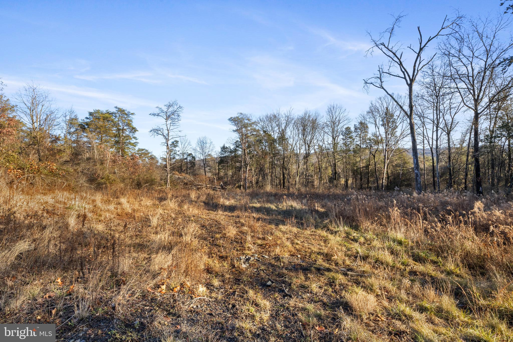 245 Bumble Bee Hollow Road Wellsville, PA 17365 - Photo 23 of 25 a view of a covered with green space