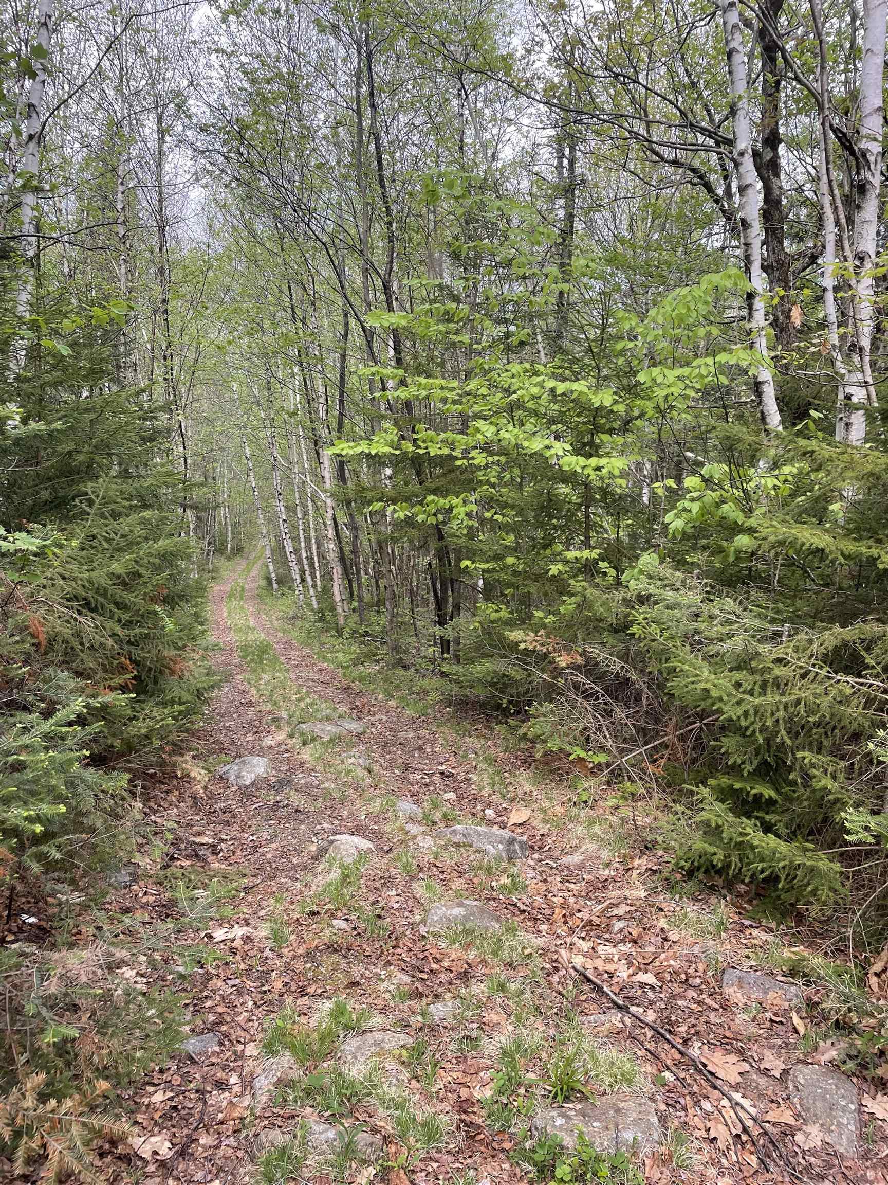 29 Martin Road Washington, NH 03280 - Photo 24 of 25