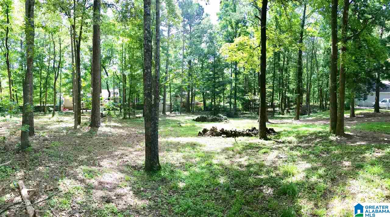 25 Rosemont Circle Calera, AL 35040 - Photo 10 of 27