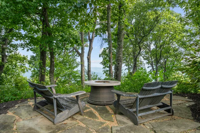 a lush green forest with lots of trees