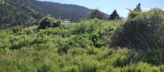 $249,700 | 31803 Cherry Ranch Lane, Lenore, ID 83541