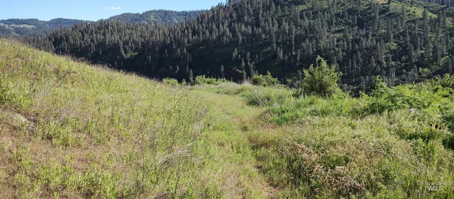 $249,700 | 31803 Cherry Ranch Lane, Lenore, ID 83541