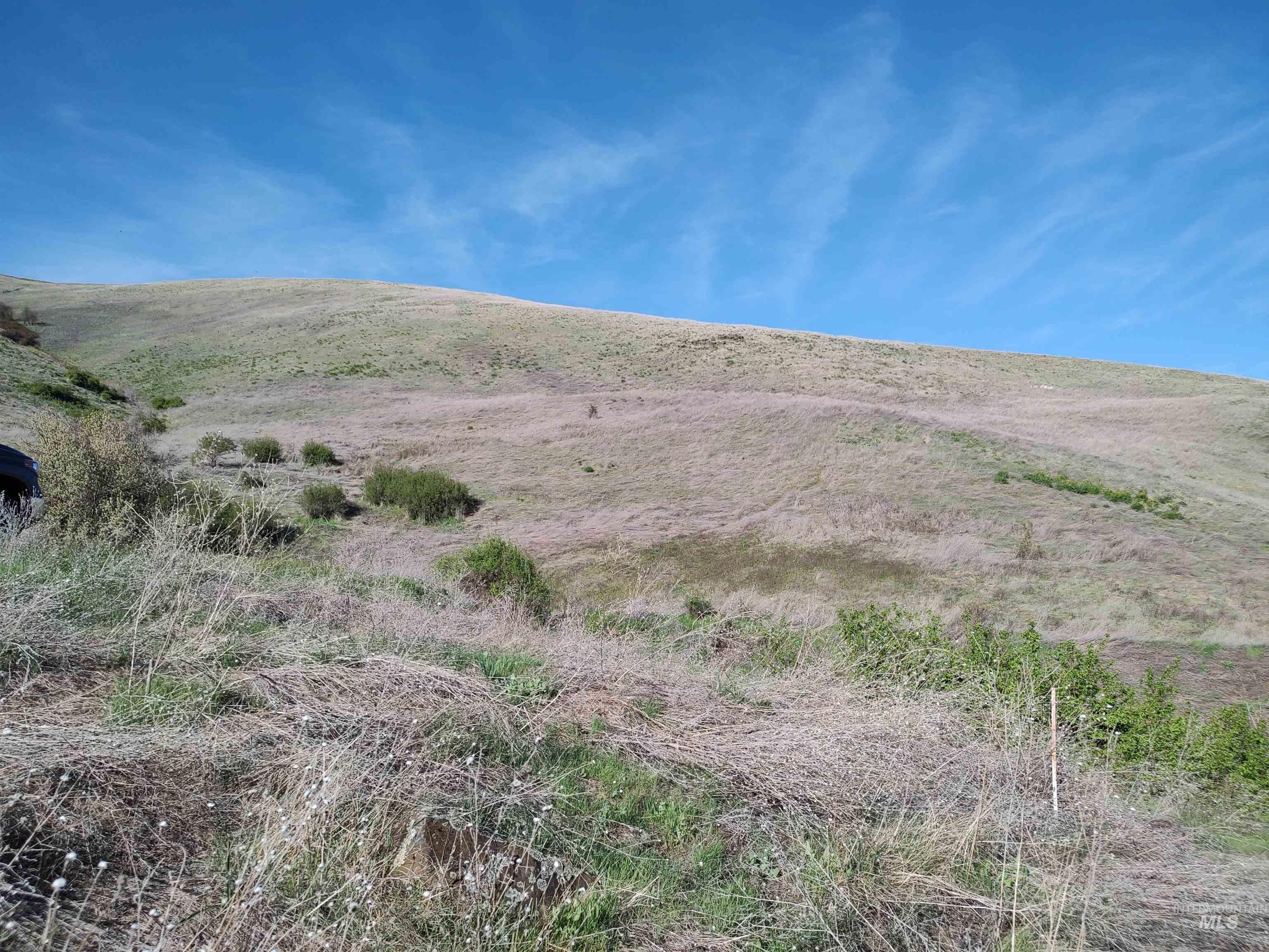 31803 Cherry Ranch Lane Lenore, ID 83541 - Photo 16 of 50