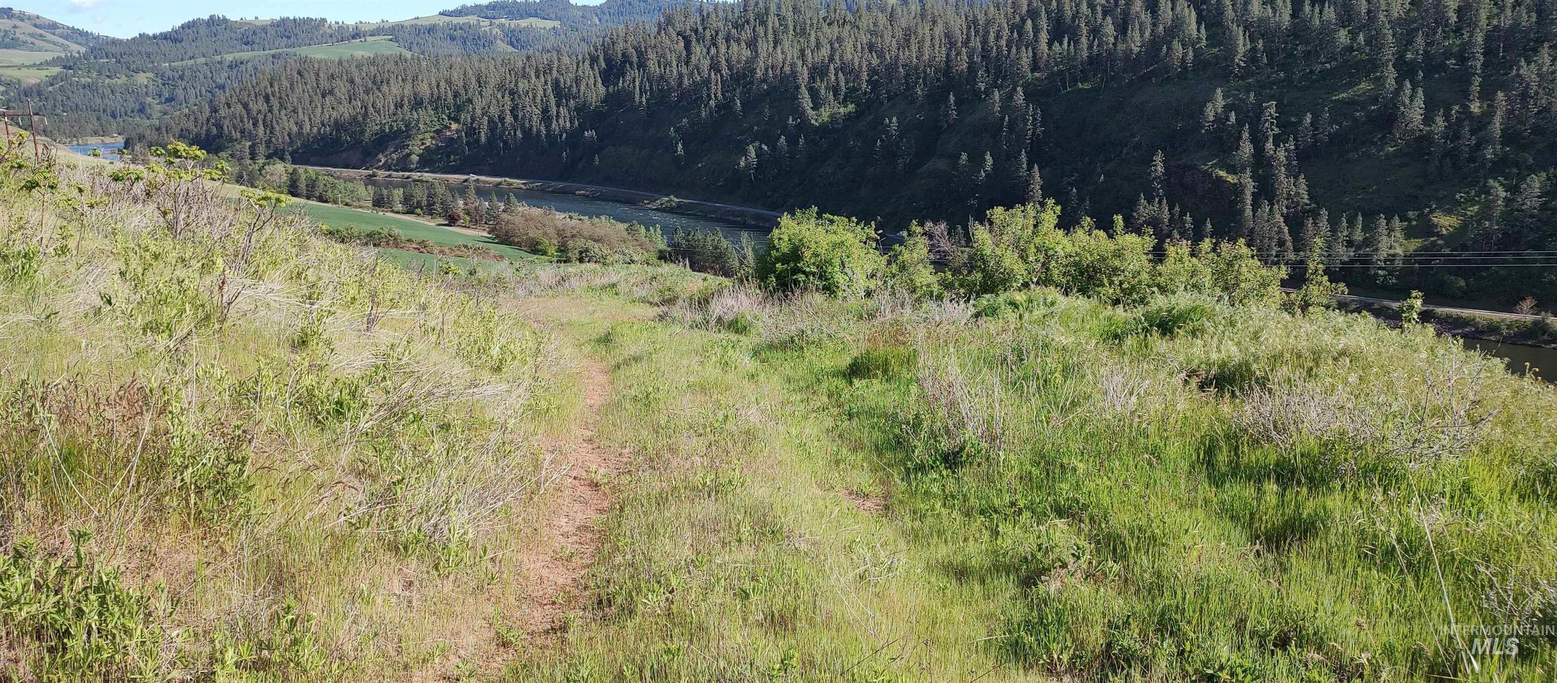 31803 Cherry Ranch Lane Lenore, ID 83541 - Photo 17 of 50