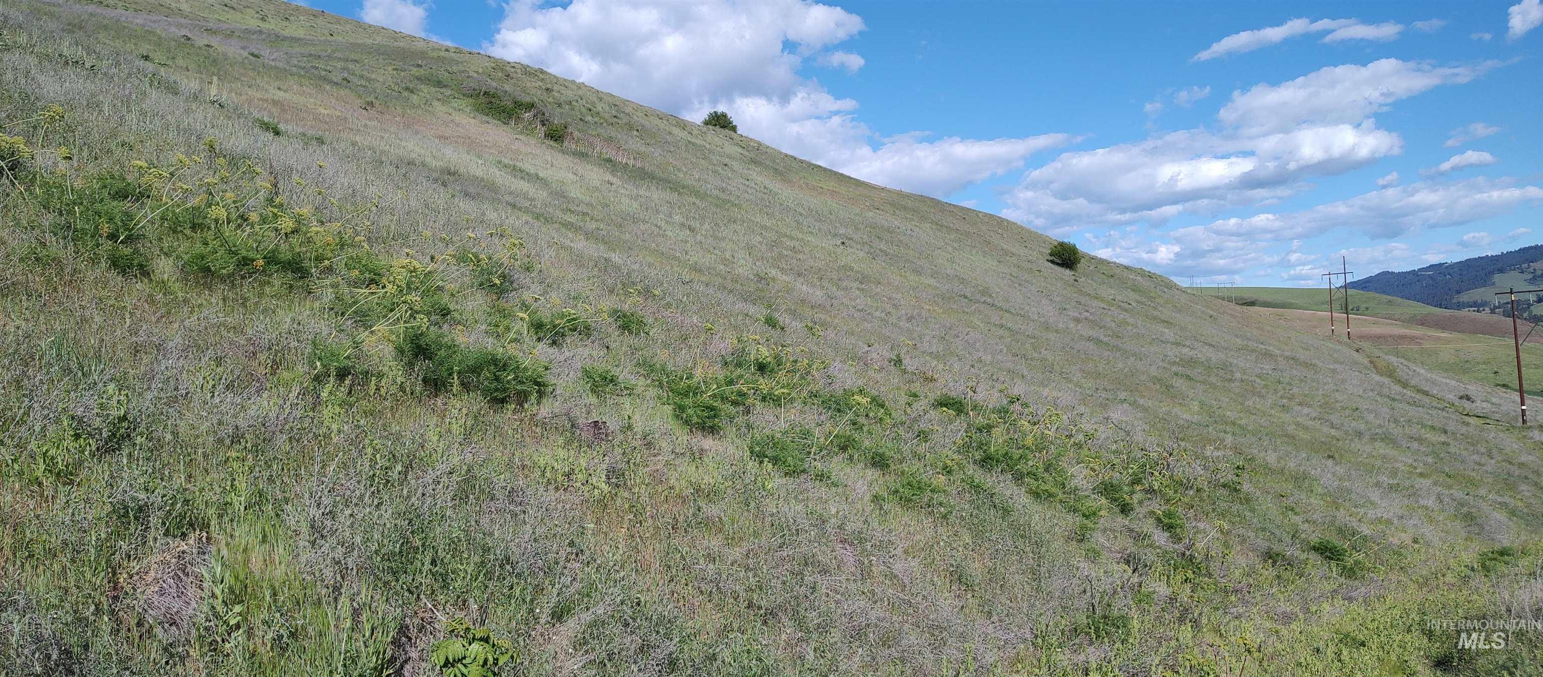 31803 Cherry Ranch Lane Lenore, ID 83541 - Photo 19 of 50