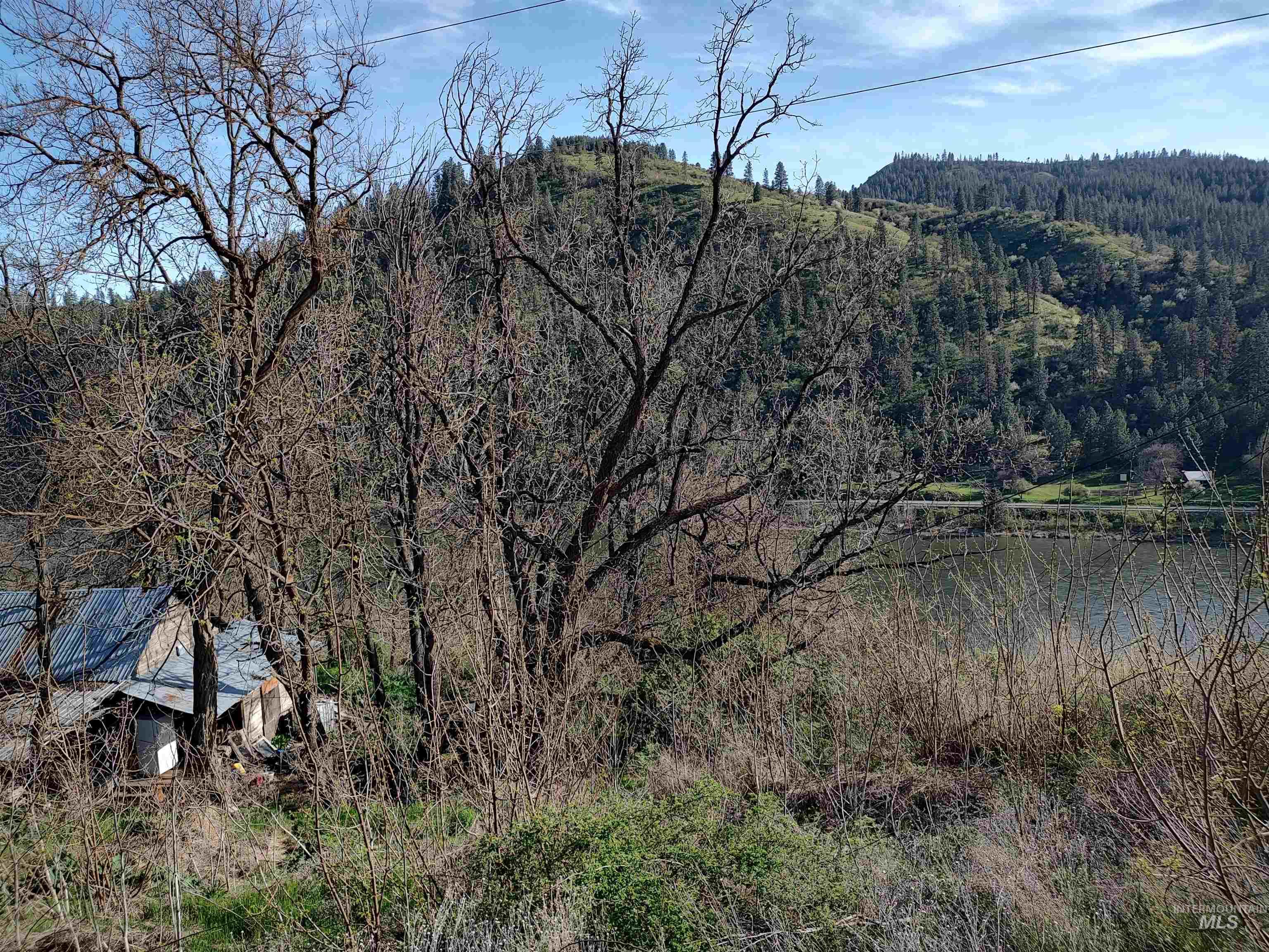 31803 Cherry Ranch Lane Lenore, ID 83541 - Photo 22 of 50