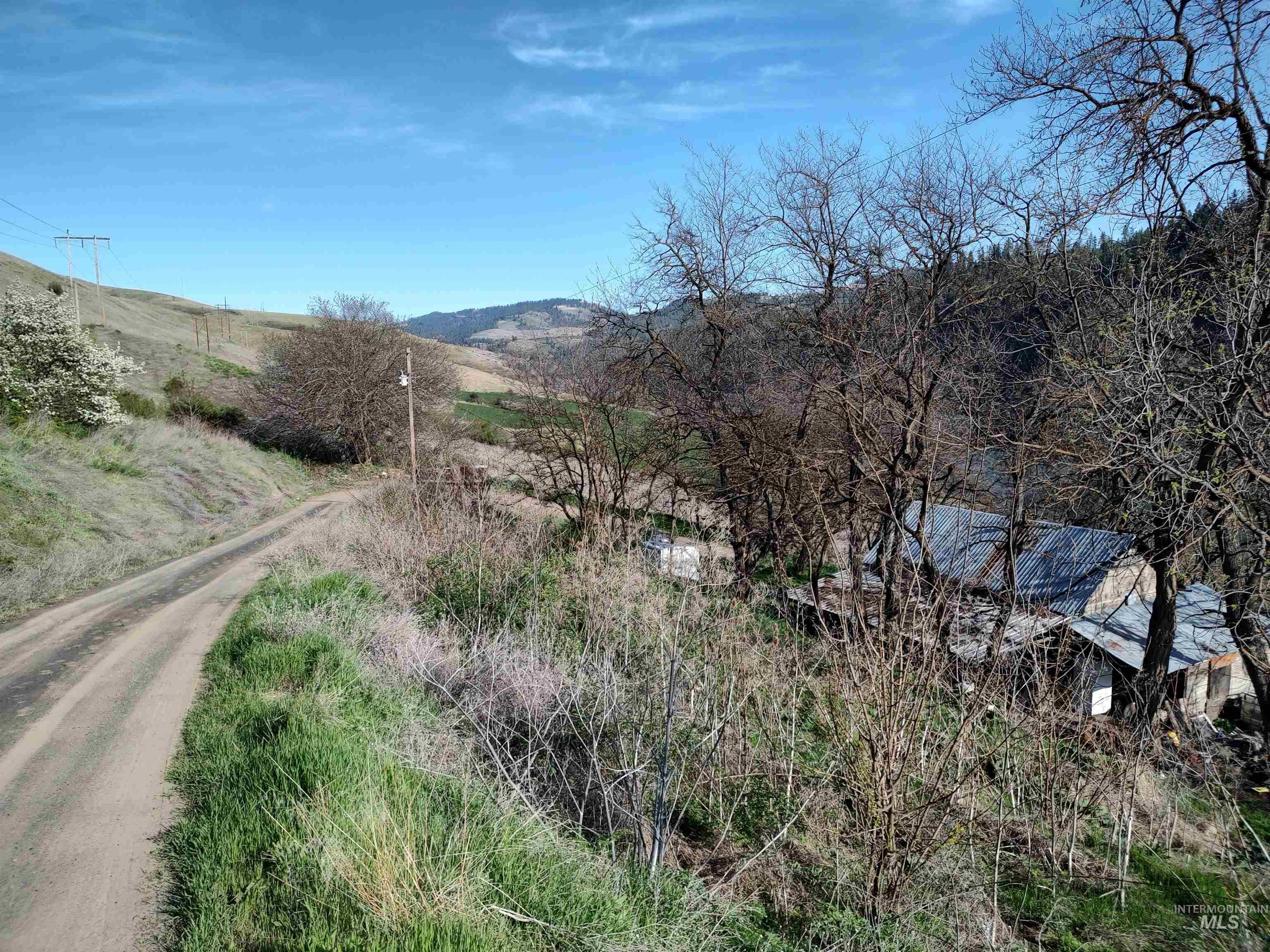 31803 Cherry Ranch Lane Lenore, ID 83541 - Photo 23 of 50