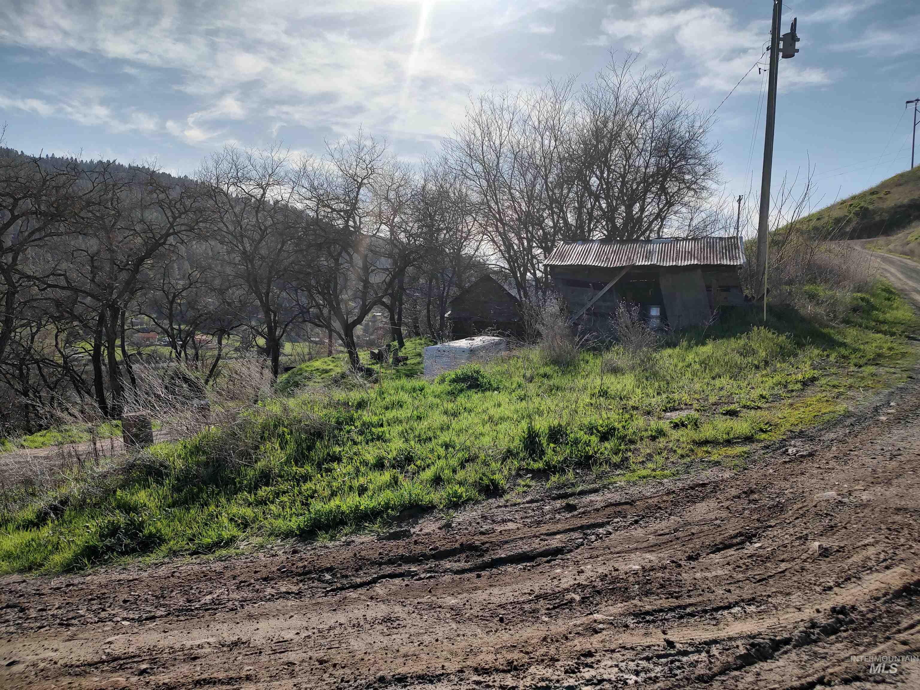 31803 Cherry Ranch Lane Lenore, ID 83541 - Photo 24 of 50