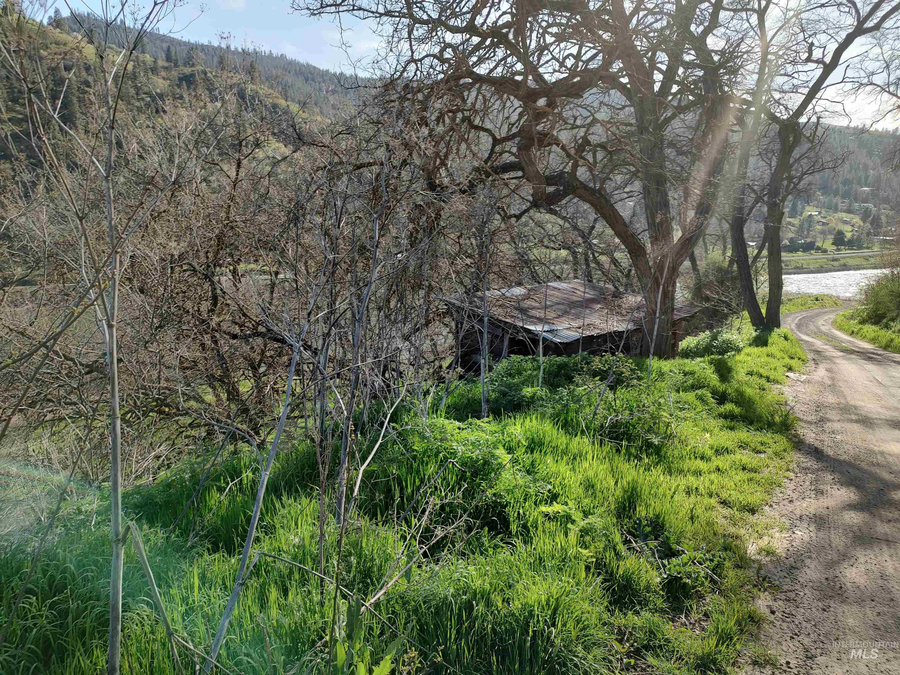 31803 Cherry Ranch Lane Lenore, ID 83541 - Photo 26 of 50