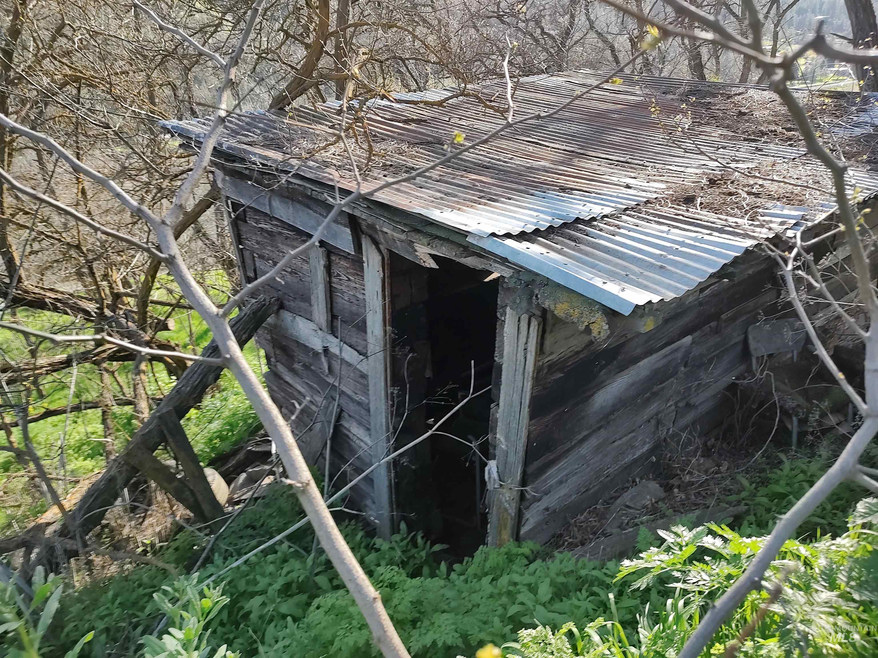 31803 Cherry Ranch Lane Lenore, ID 83541 - Photo 28 of 50