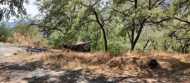 $249,700 | 31803 Cherry Ranch Lane, Lenore, ID 83541