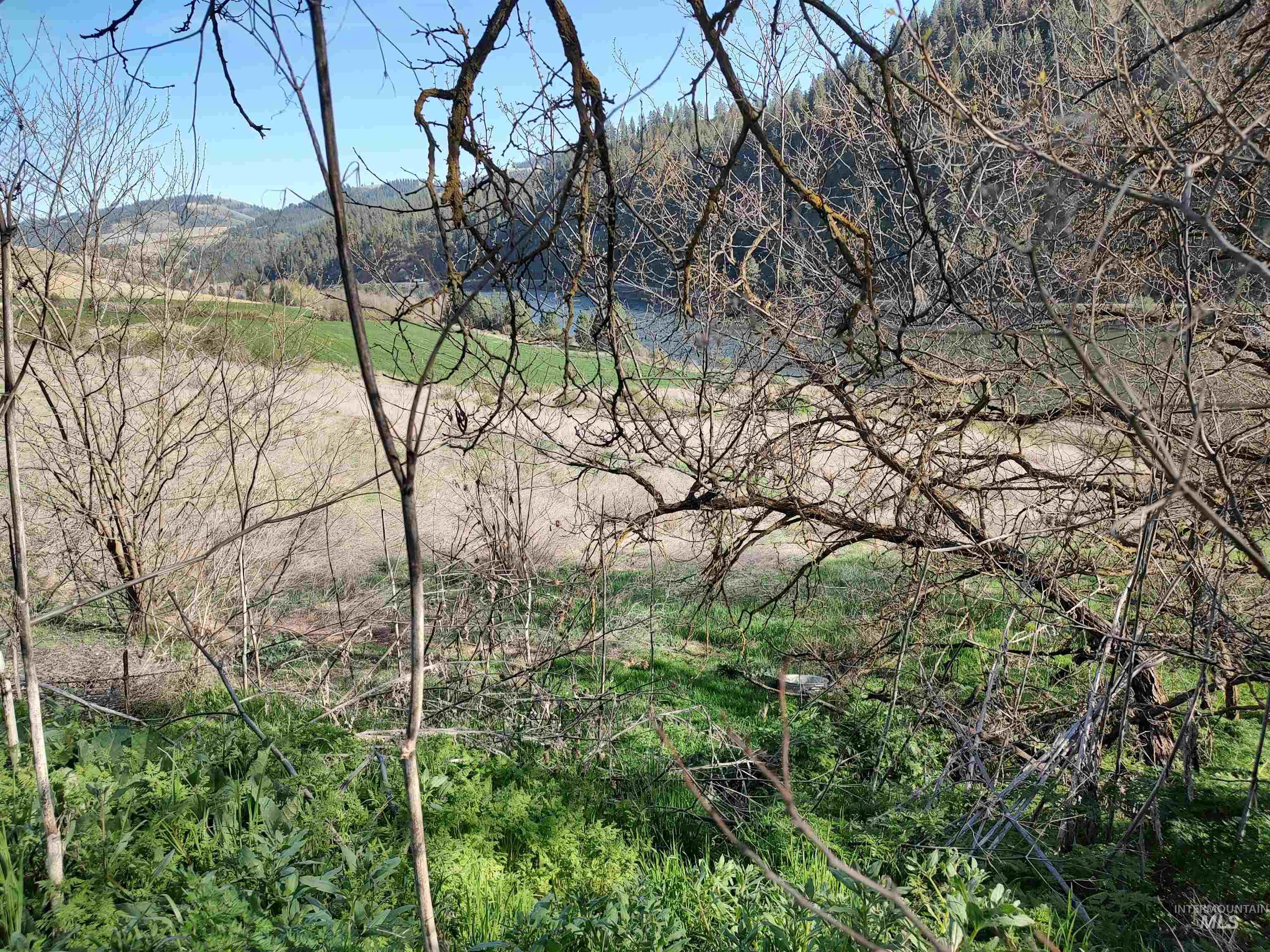 31803 Cherry Ranch Lane Lenore, ID 83541 - Photo 49 of 50